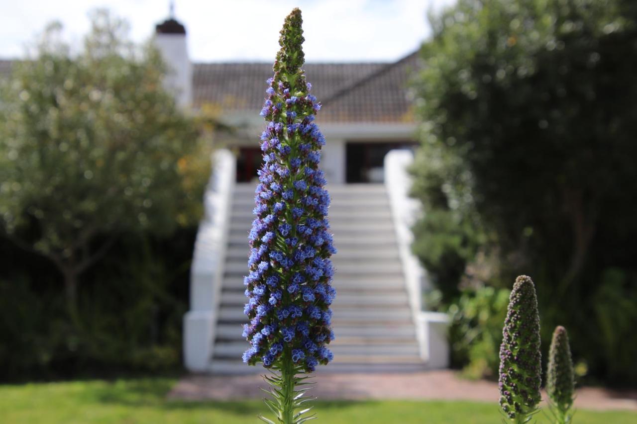 The Dongola Guesthouse Cape Town Exterior photo